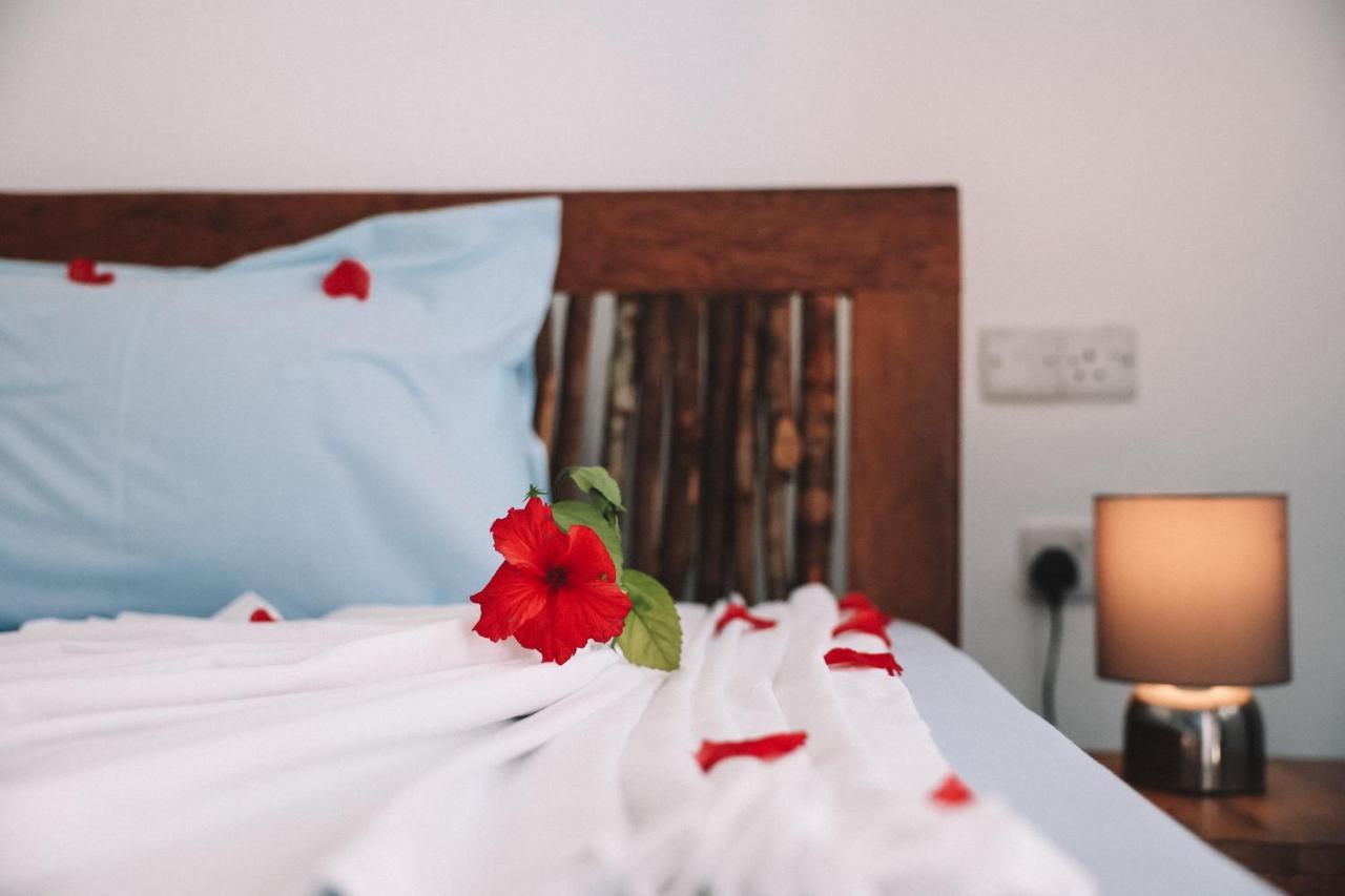 Zima Lodge Nungwi Εξωτερικό φωτογραφία