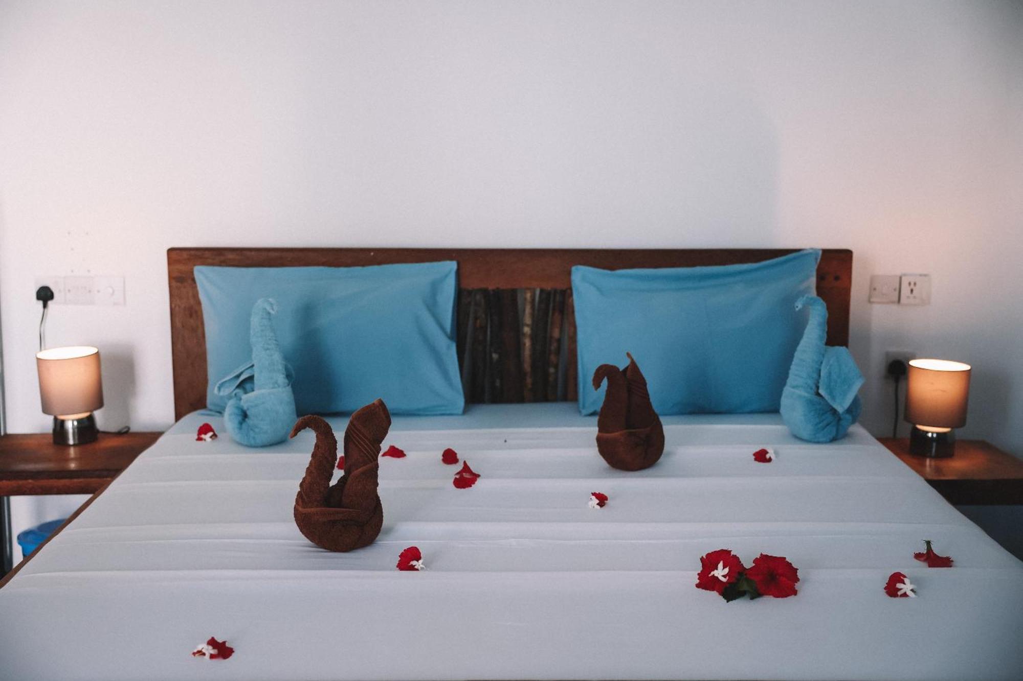 Zima Lodge Nungwi Εξωτερικό φωτογραφία