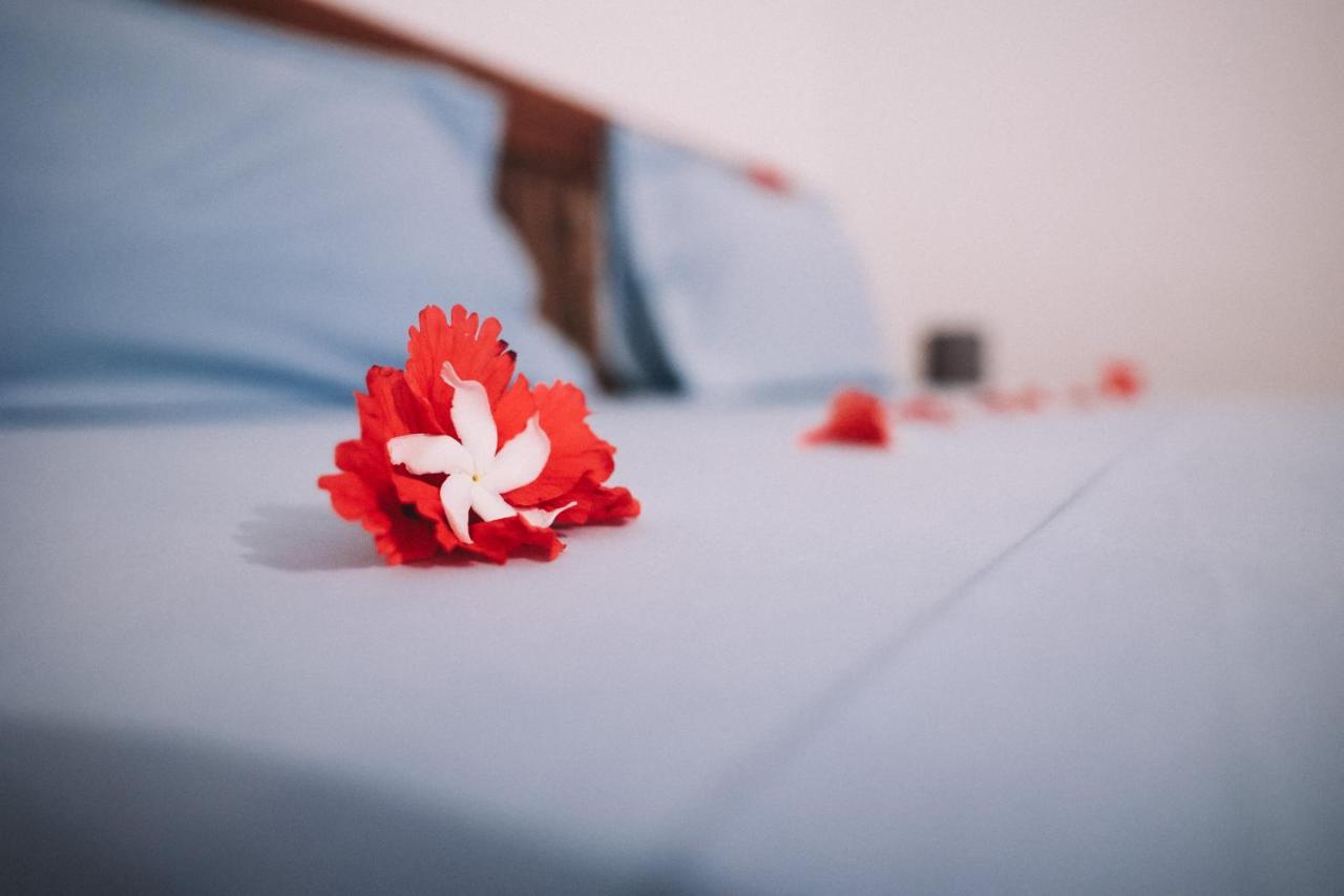 Zima Lodge Nungwi Εξωτερικό φωτογραφία