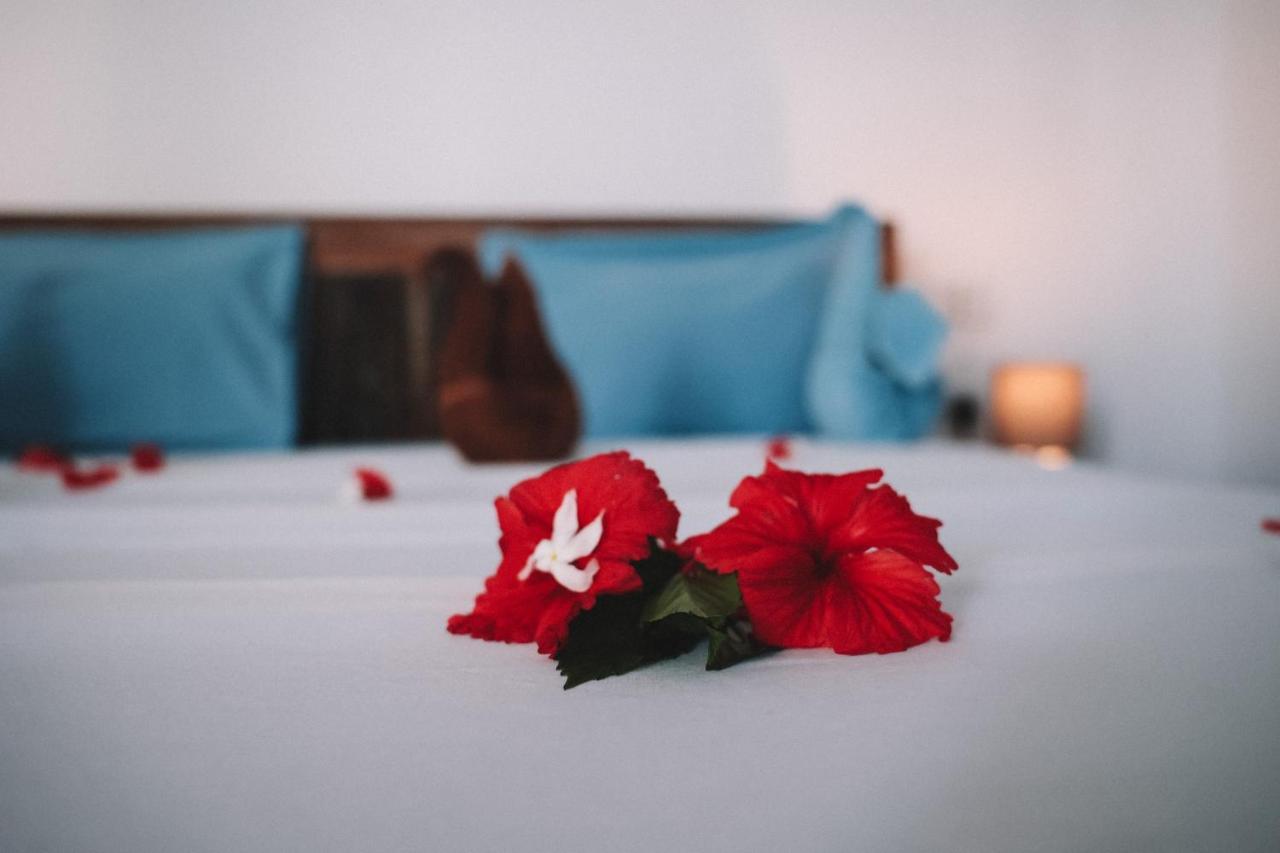 Zima Lodge Nungwi Εξωτερικό φωτογραφία